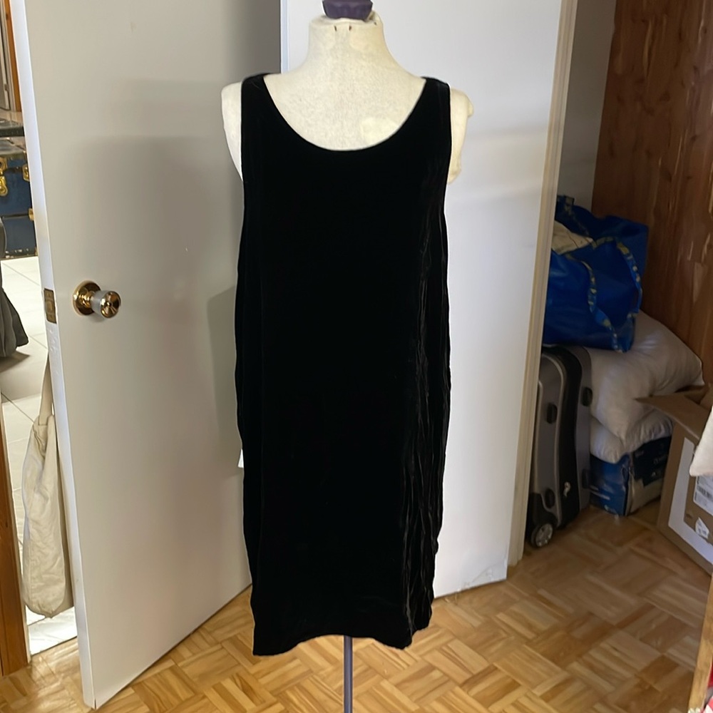 Tiger of Sweden  silk velvet dress